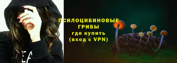 крисы Россошь